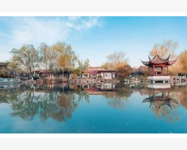 祛湿调养脾胃：中成药为您带来健康